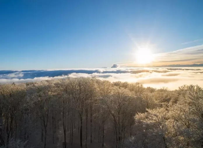 해돋이